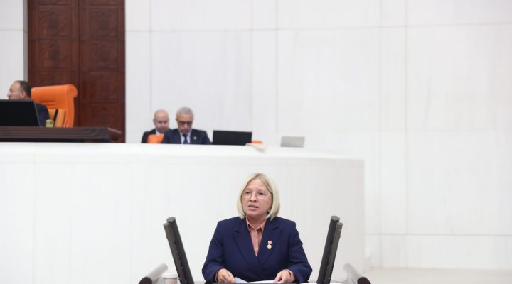 CHP Tekirdağ Milletvekili Nurten YONTAR hububat alım fiyatlarını eleştirdi…