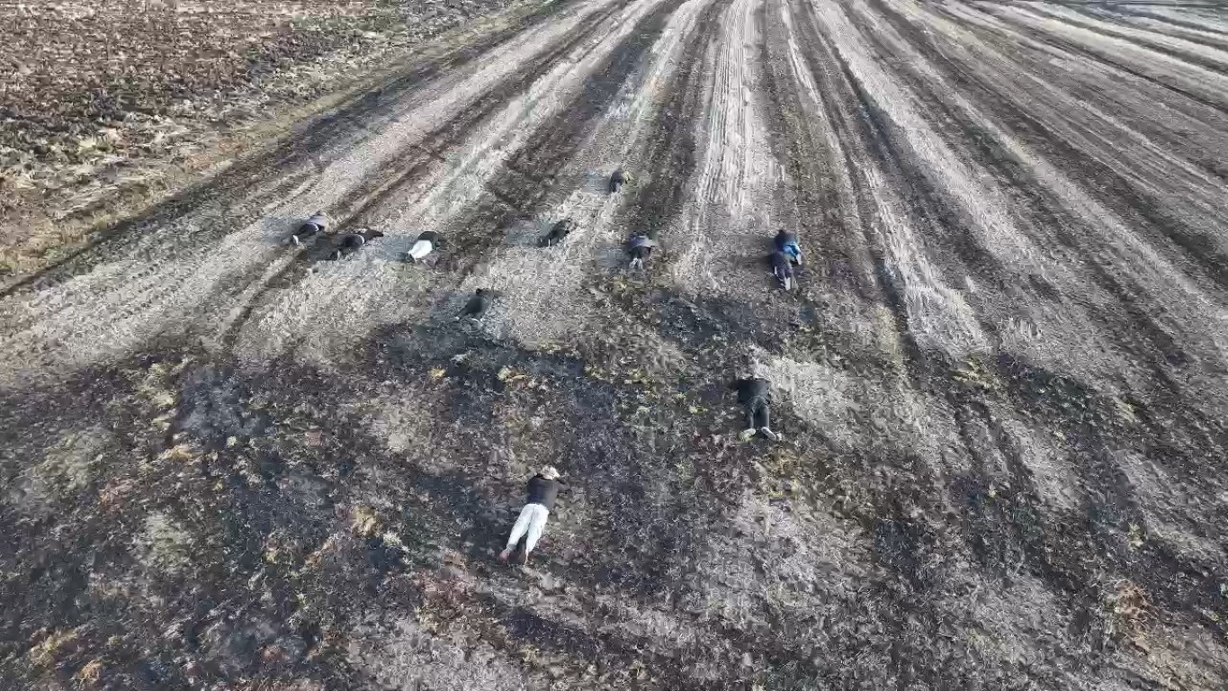 Jandarmanın kaçak göçmenleri yakalama anı dron kamerasında